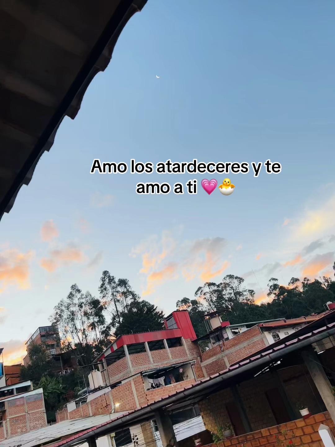 @ChinitaVela💗🐣