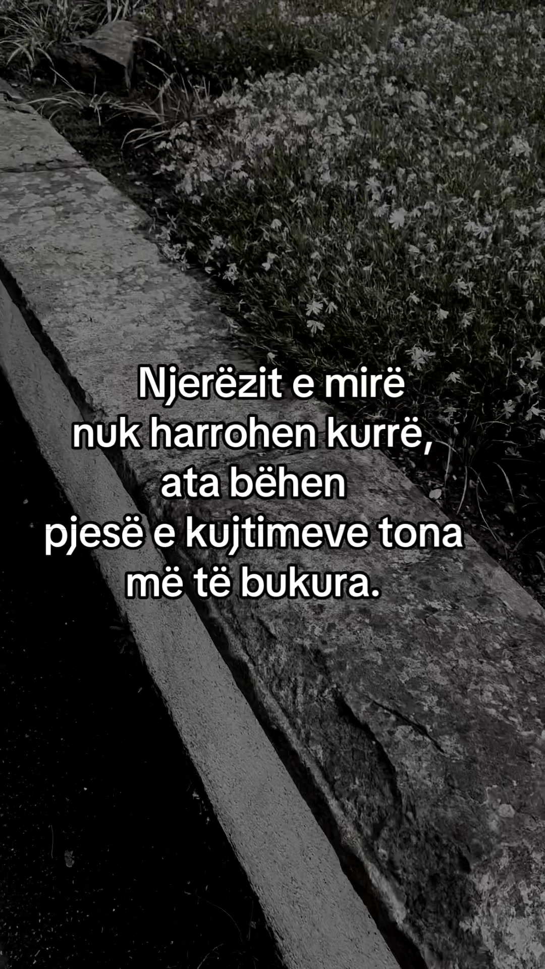 @Ilda_007🇦🇱❤️