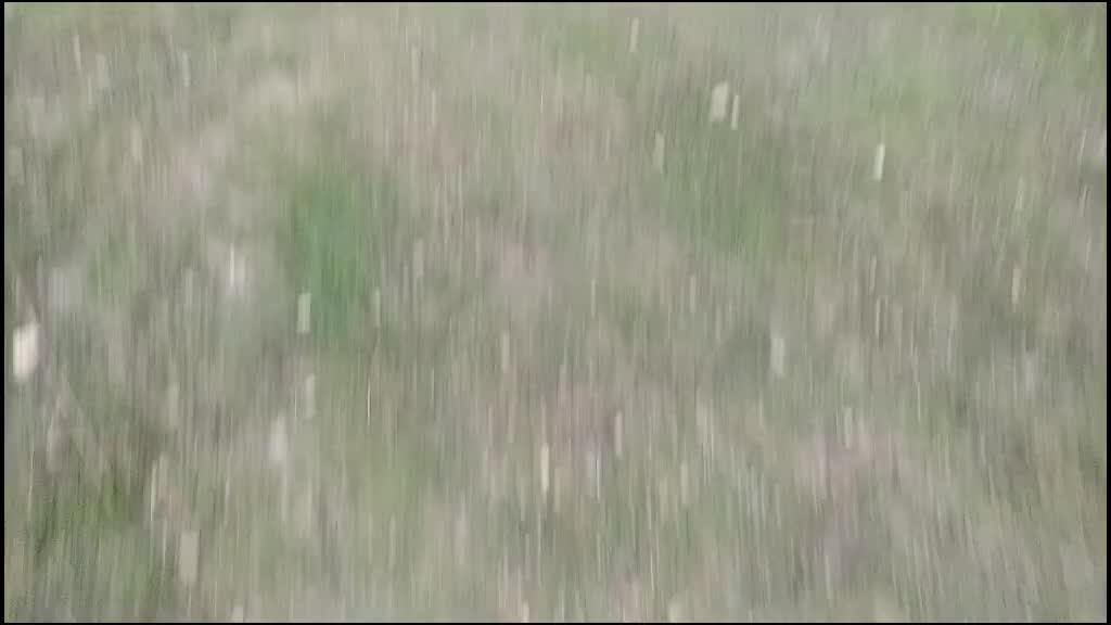 @🔥কোচবিহারের পোলা 🧑
