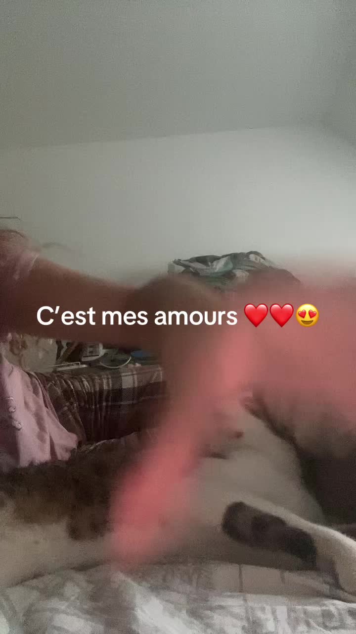 @🧸🎀Miss Lulu 🎀🧸