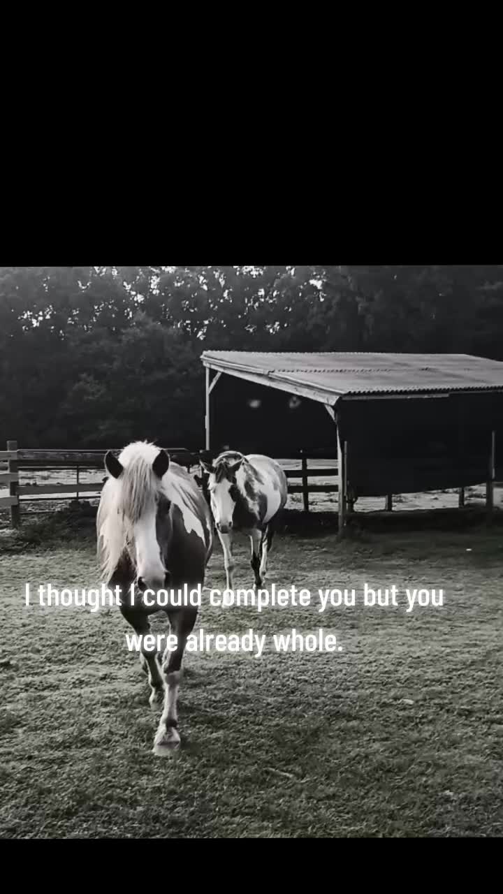 @QuoteDaddy