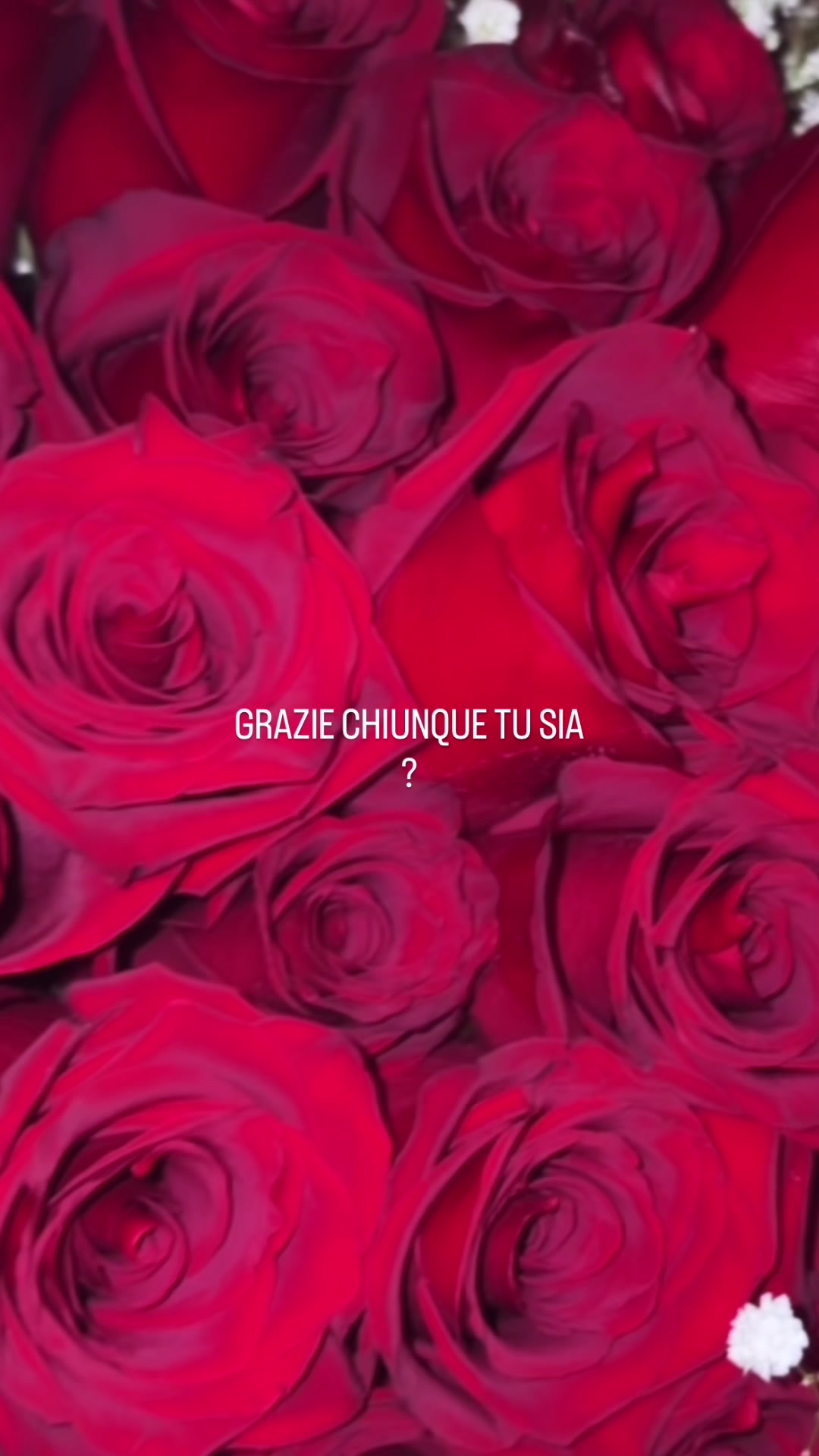 @nunziagiulianoólió