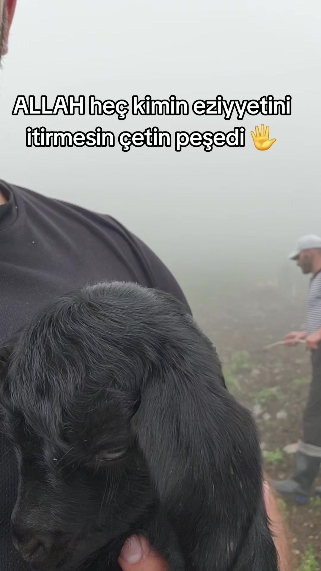 @xeyal.alicanov