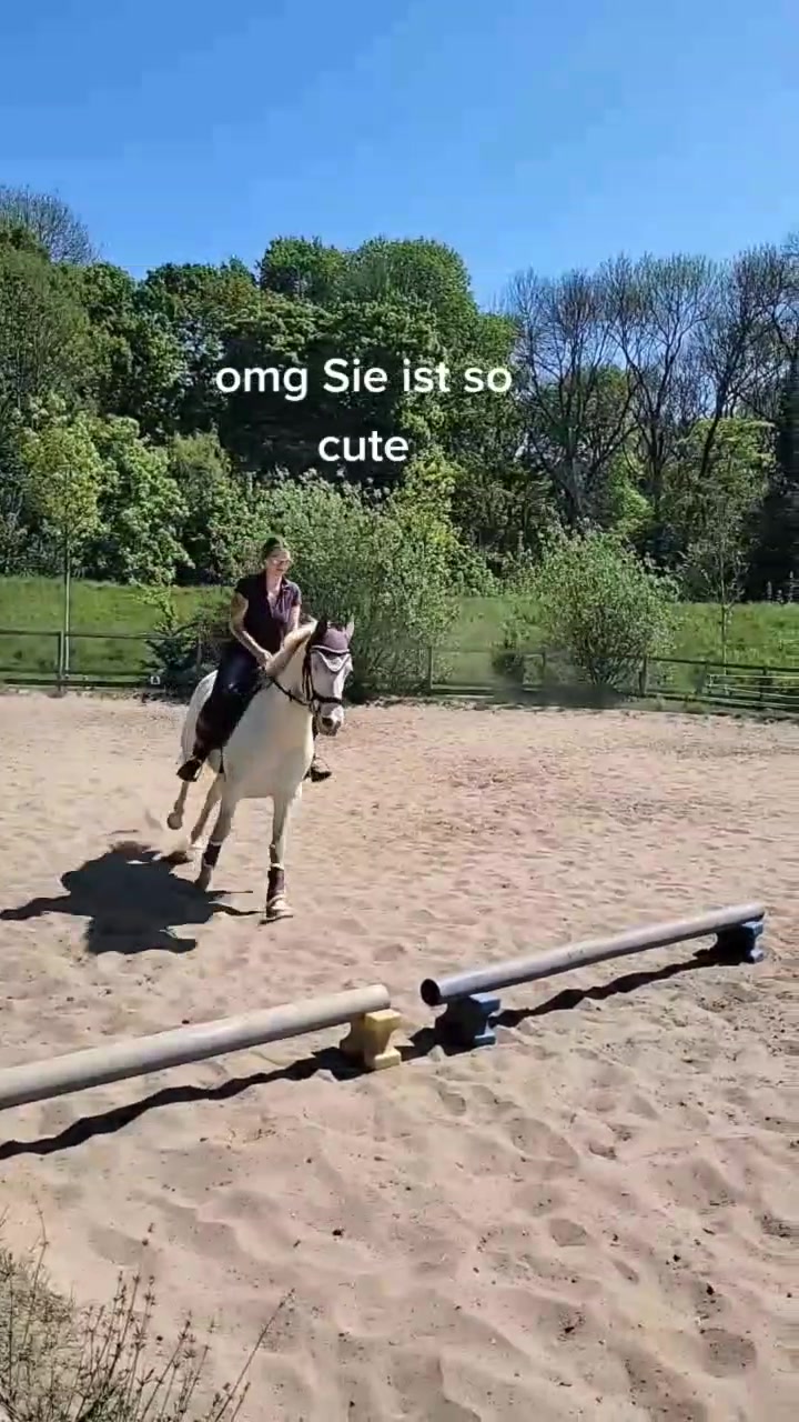 @Khaleesithecremello🦄