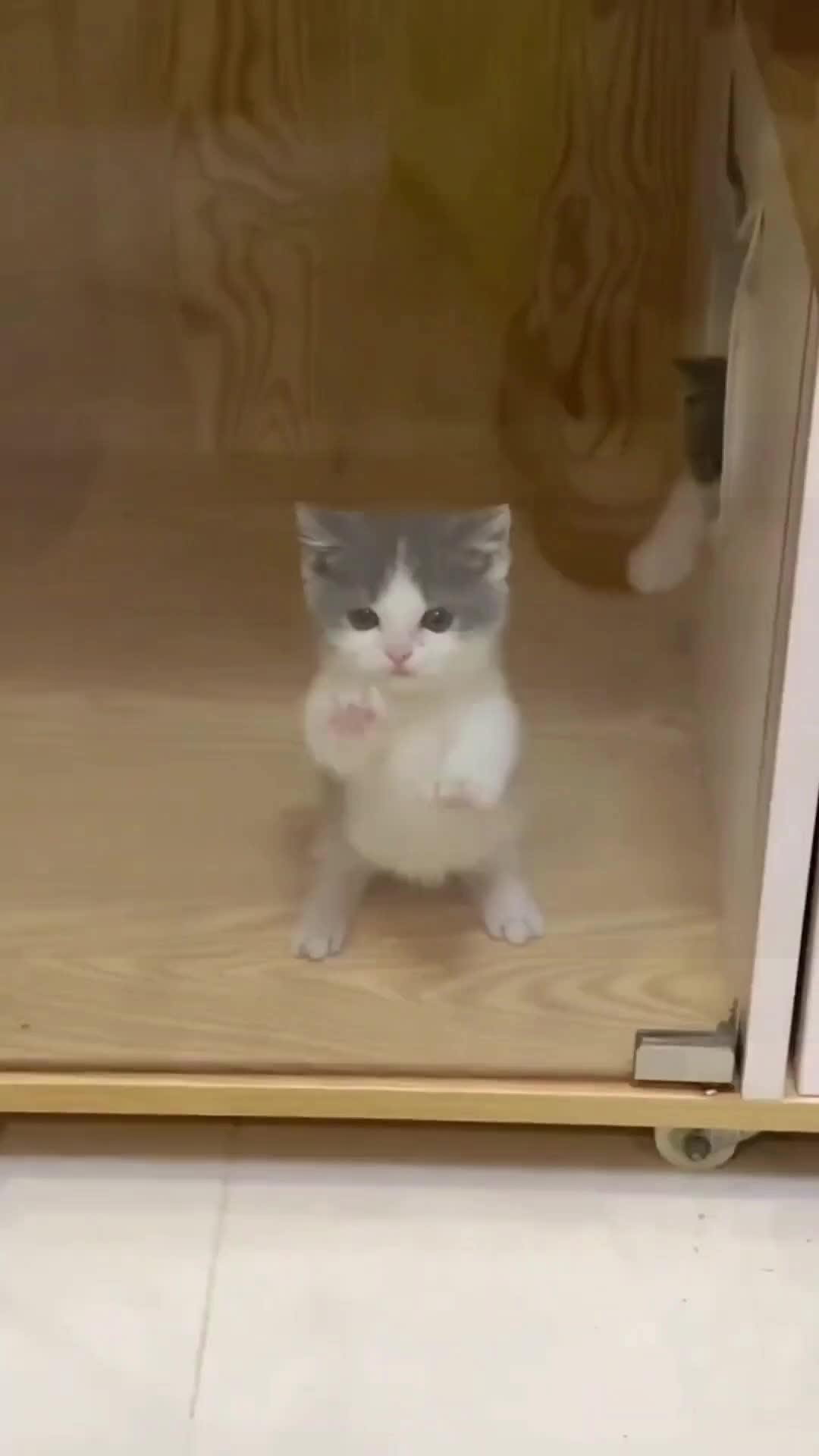 @dfhdhhd22