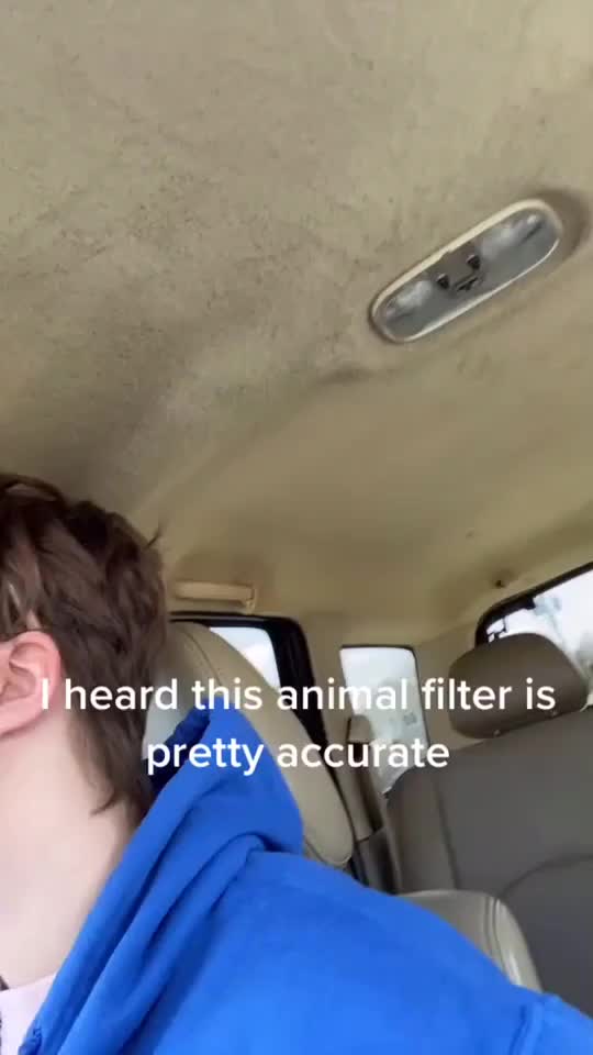 @Rat Boi Bruv