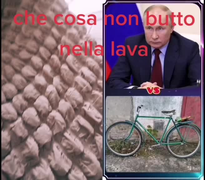 @Azzurra Pellegrin541