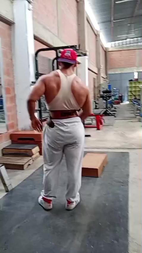 @joseluis2530