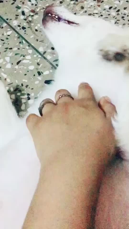 @Simran Goel
