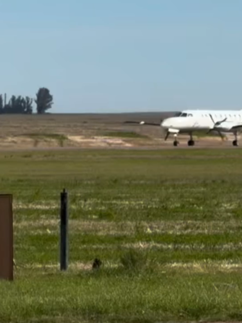 @Aviacionline