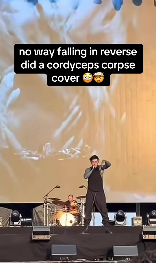 @cordycepscorpse