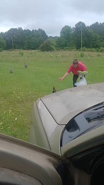 @Chicken Pimp