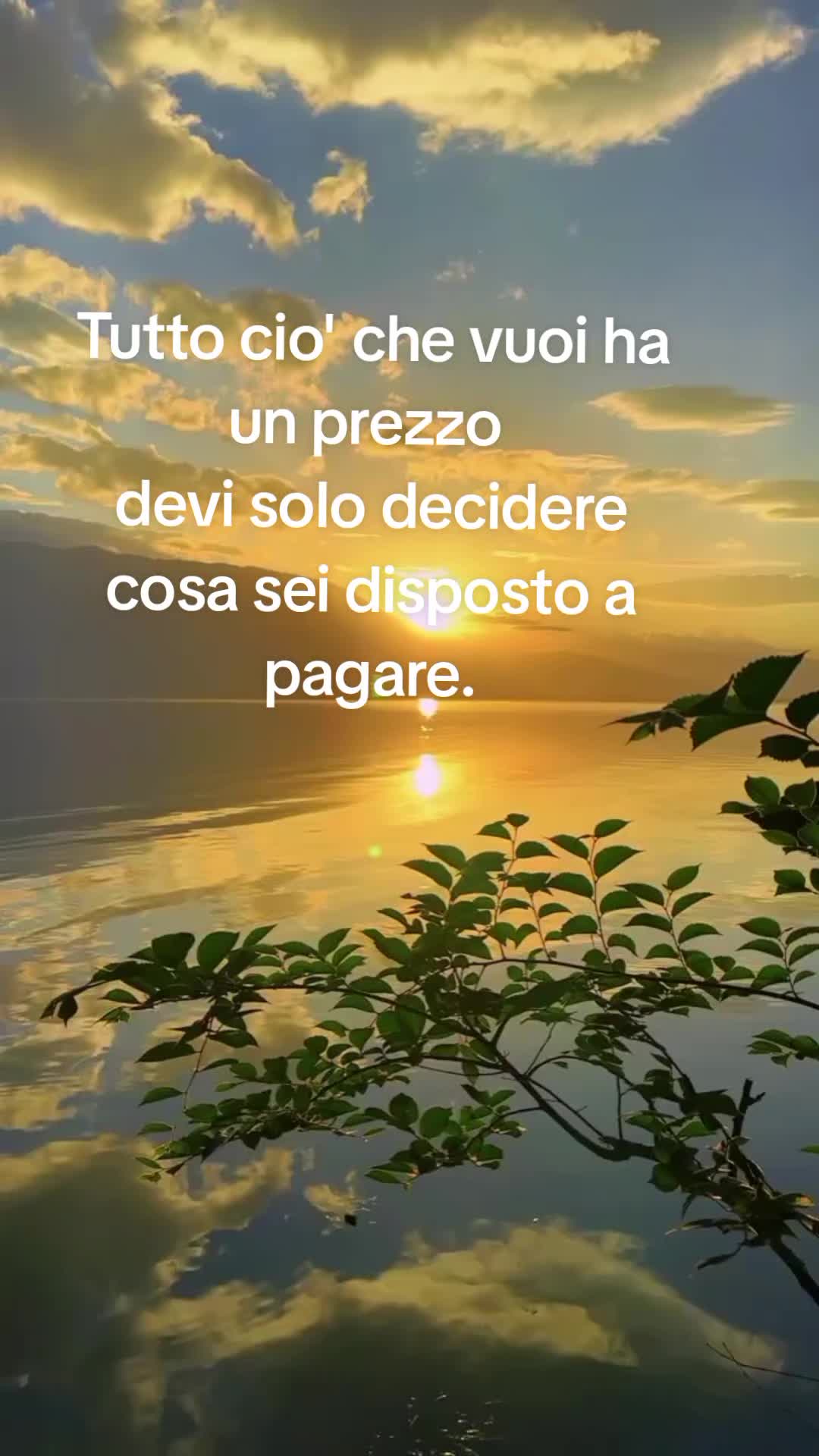 @Lorella.coltro