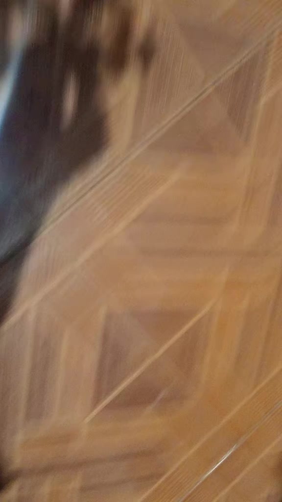 @RAIKØU
