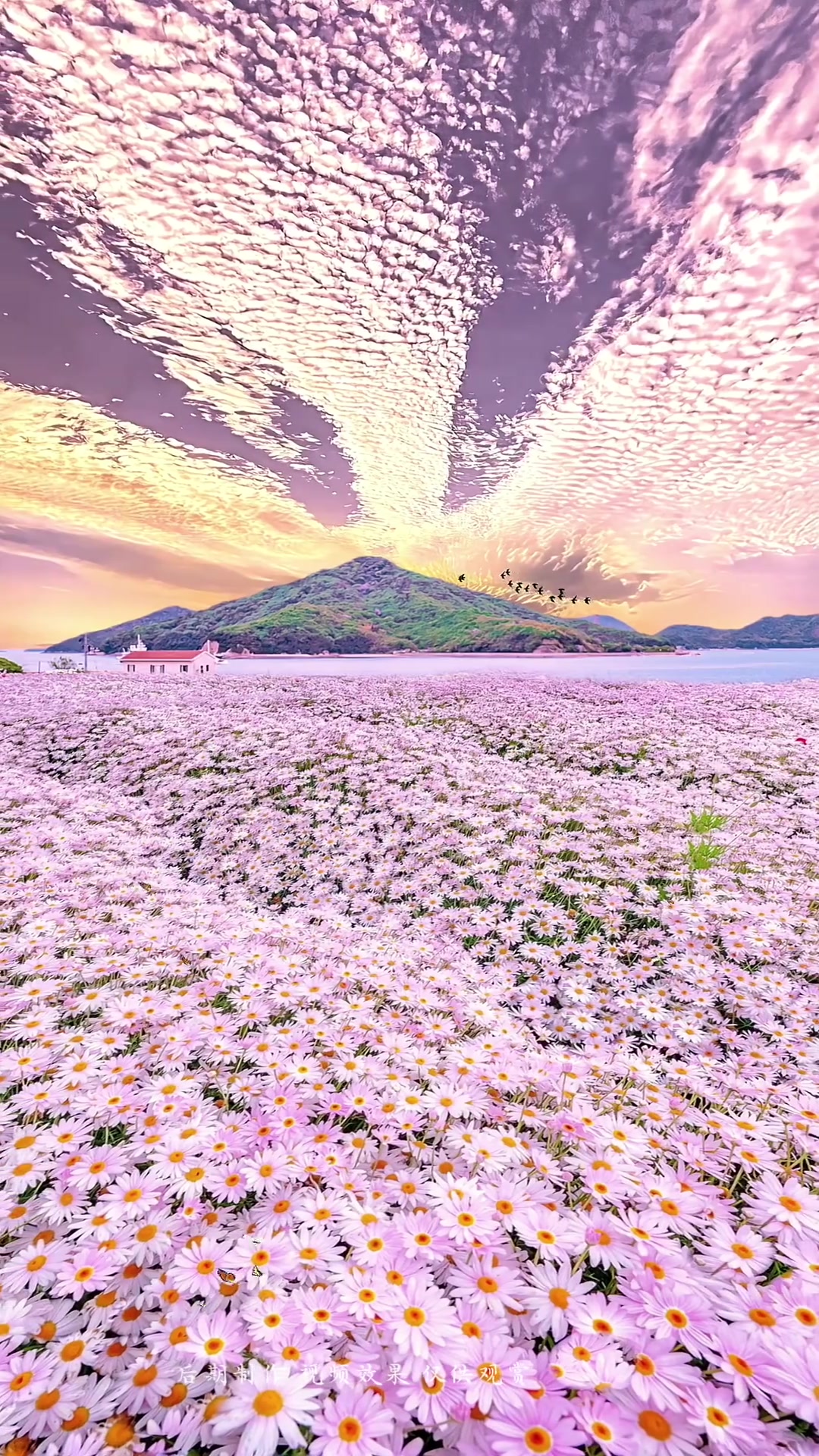 @xwjtpzmlvrqockfneud89