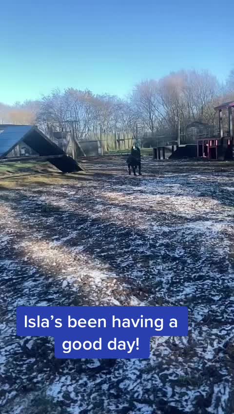 @LeicesterAnimalAid
