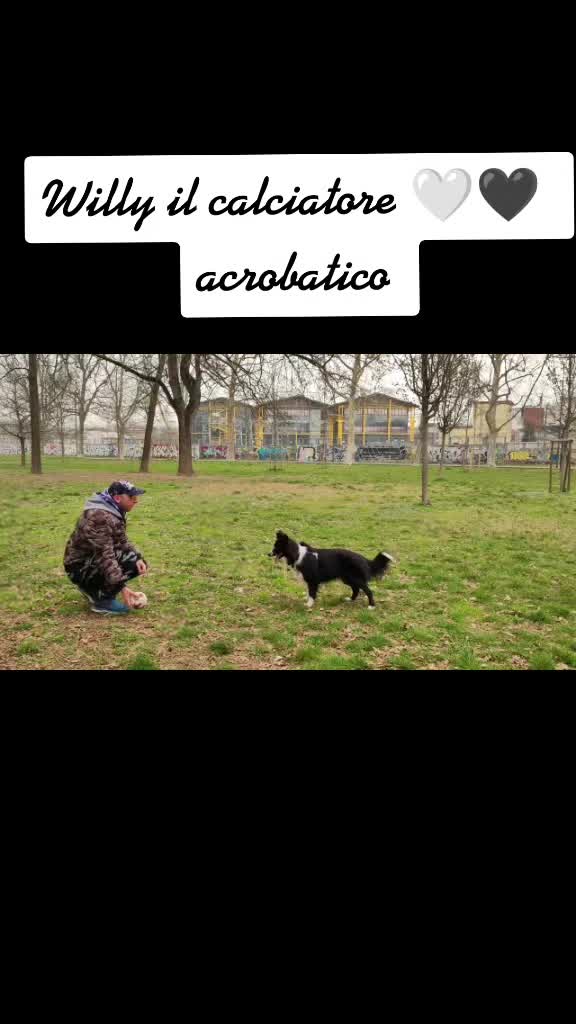 @Michael placenti🫶