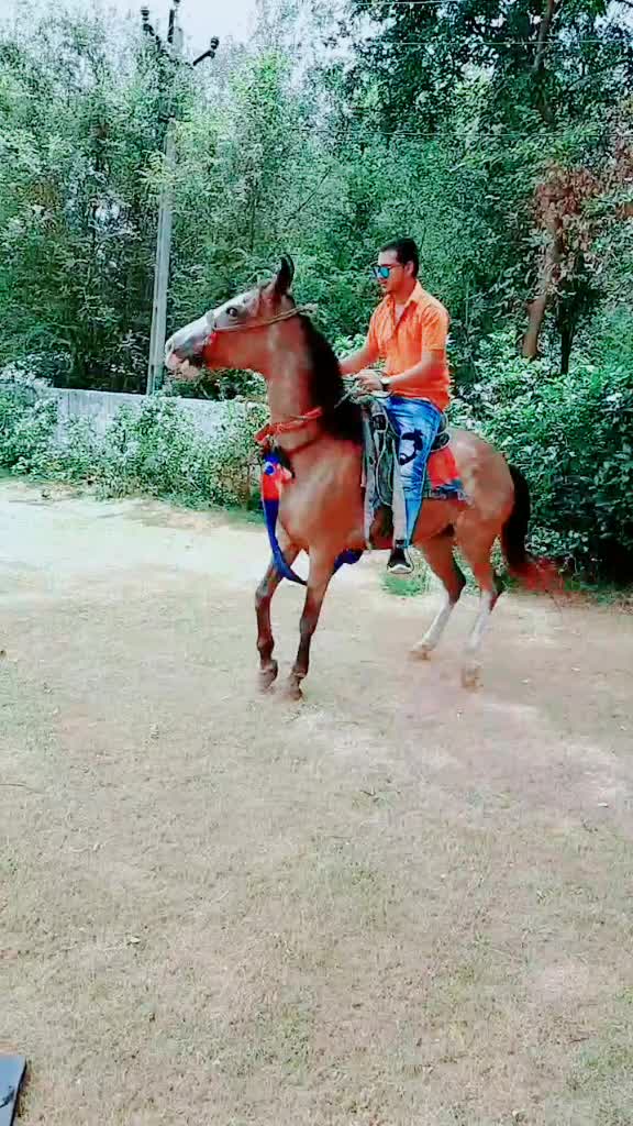 @Anish Rathod