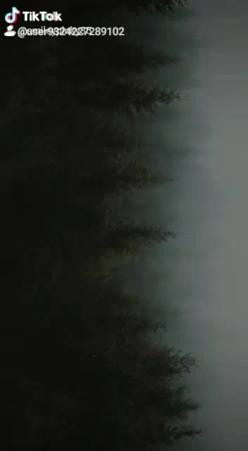 @Smiley 636