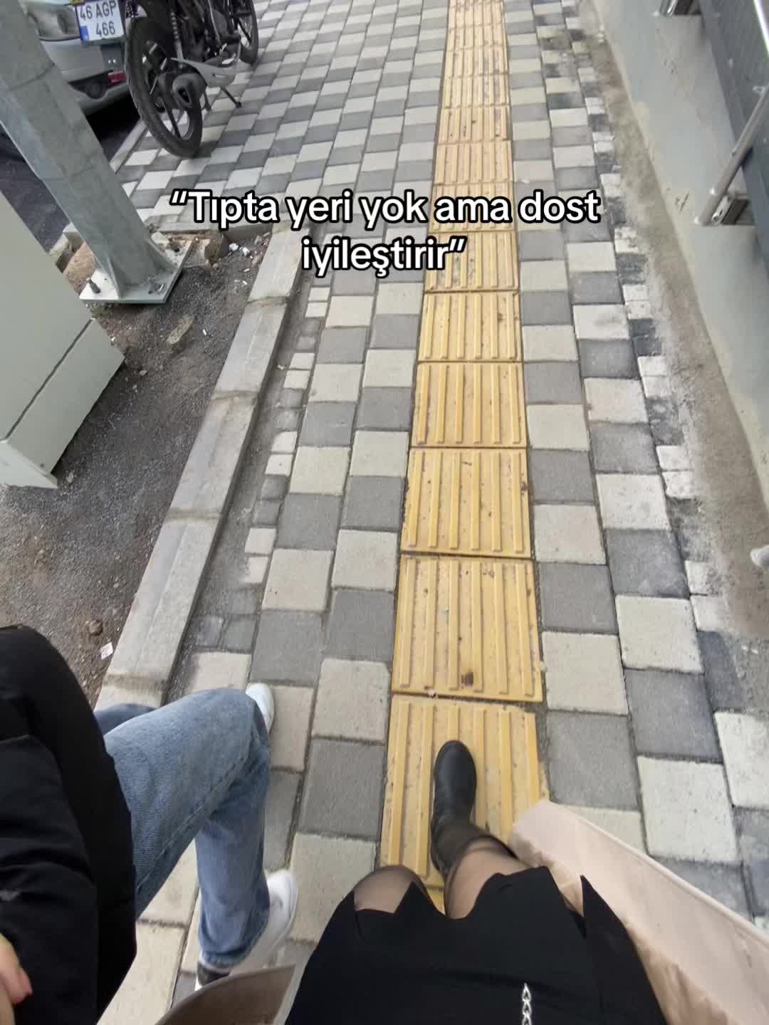 @Seren🐆