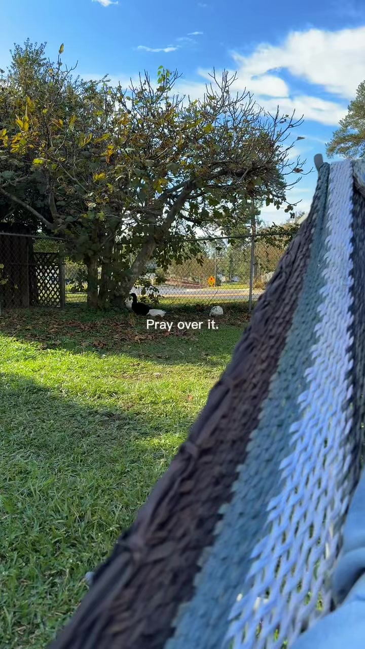 @Kat
