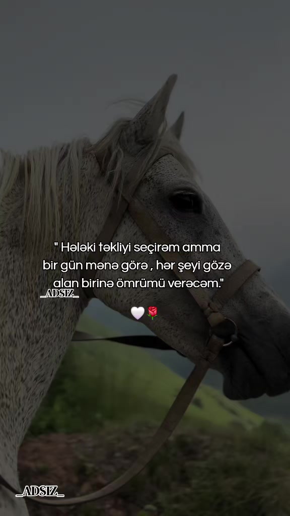 @_ADSIZ_