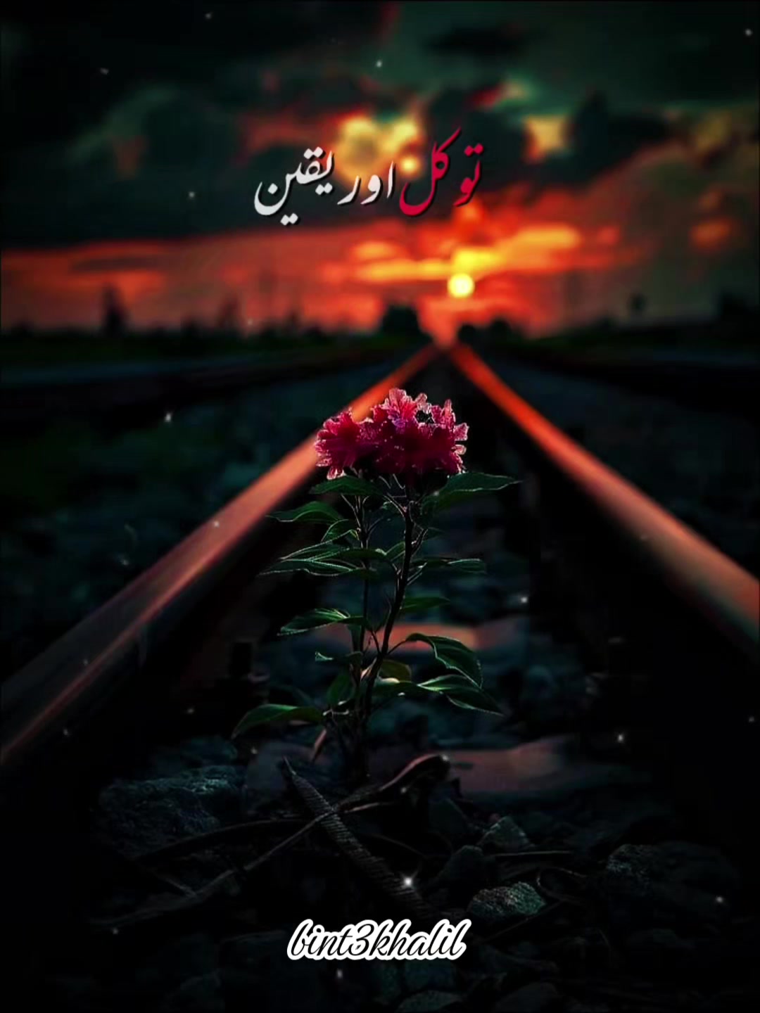 @Umaira