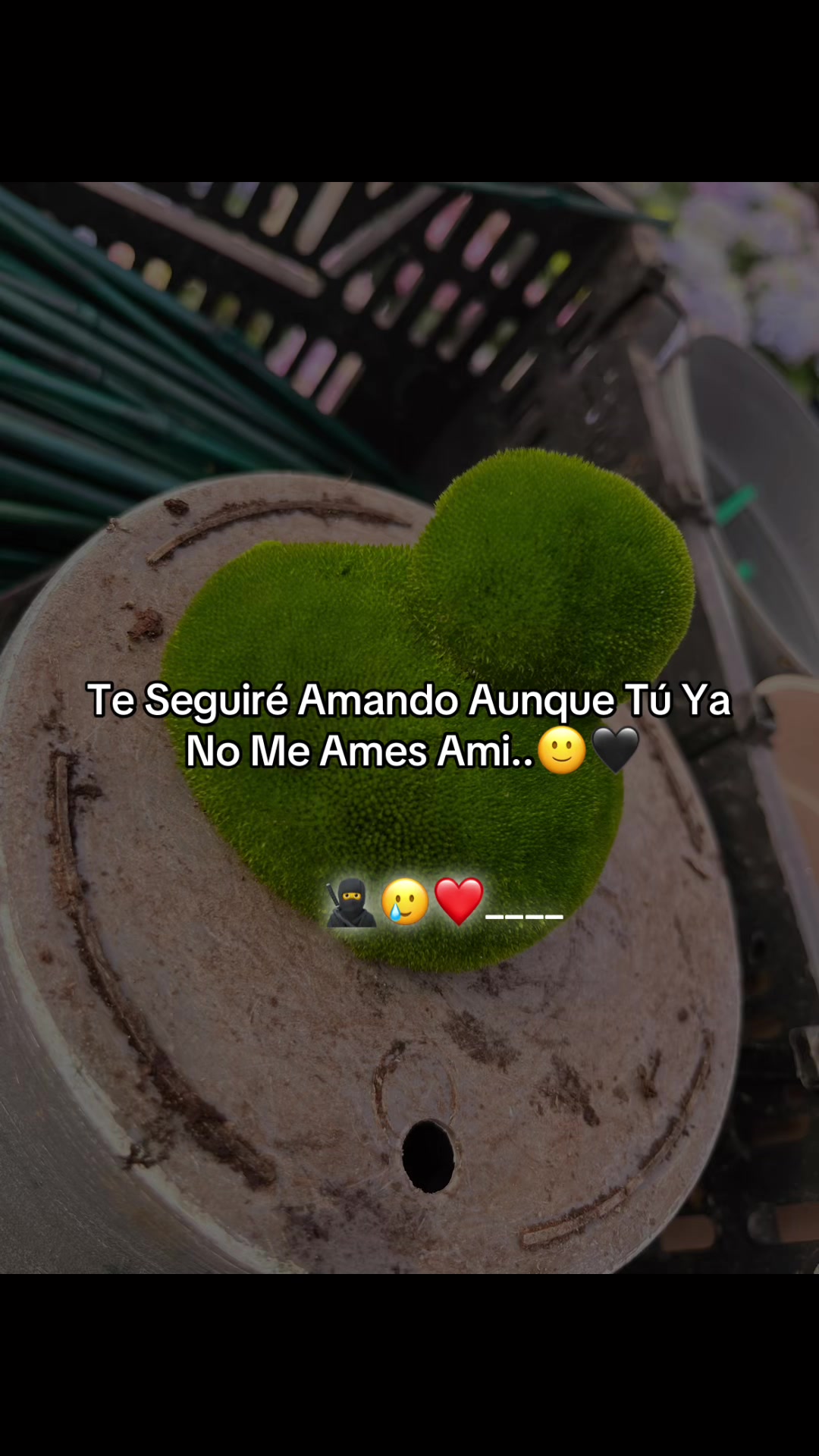 @MARI❤️😘😍