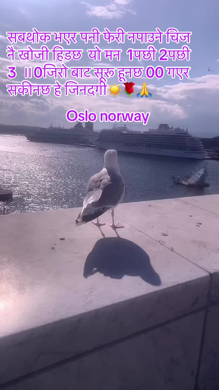 @Rajendra sharma 🇳🇵🇵🇹🇪🇺