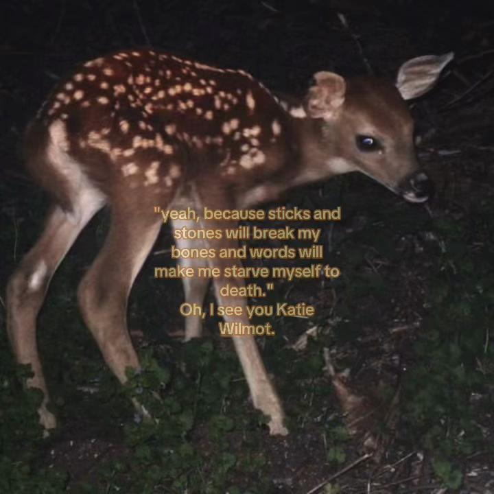 @Marie⁸¹(claire’s version)