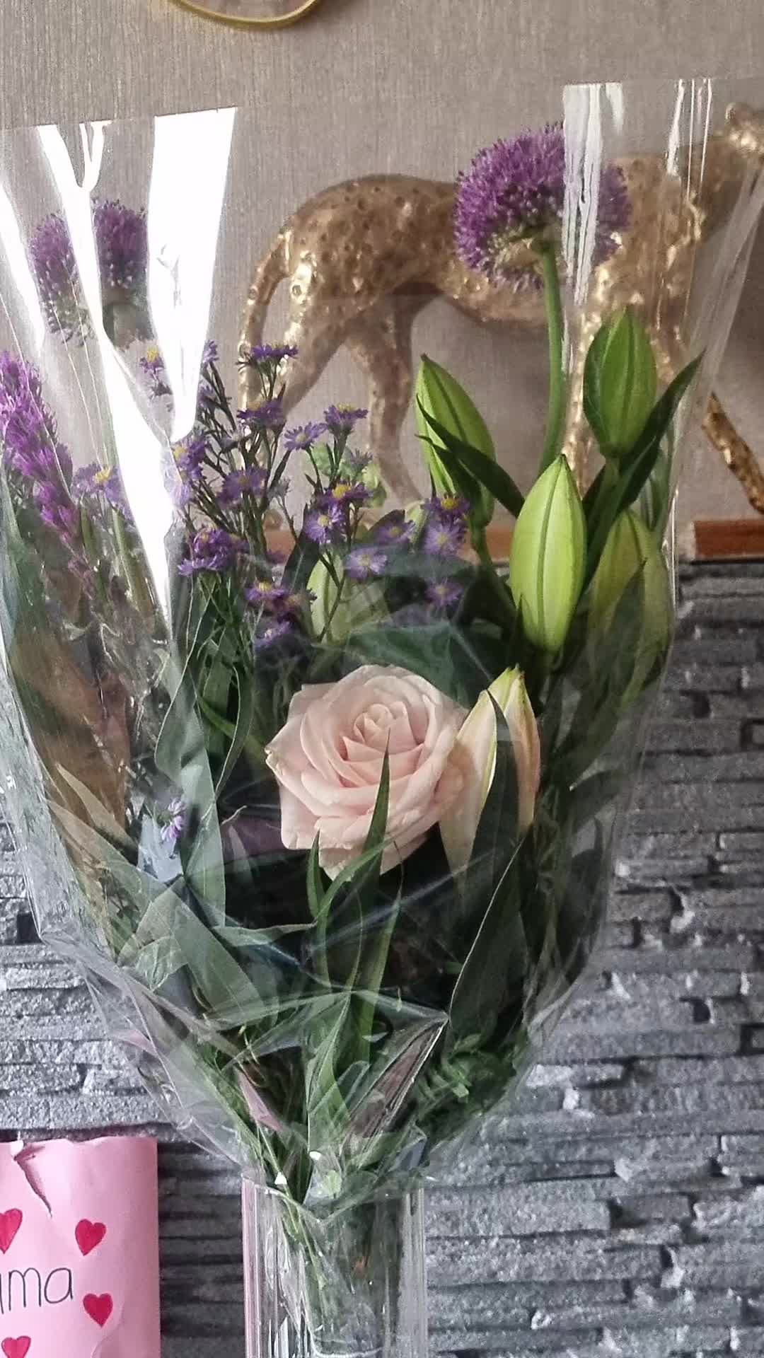 @rahaf🌺🦋💐