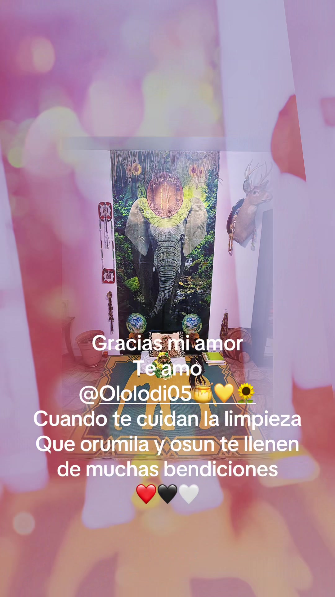 @elmalcriaoo