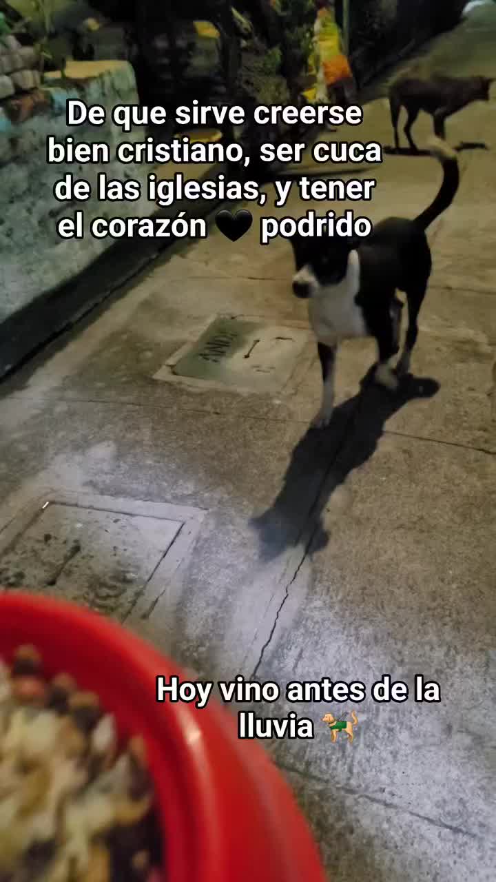 @𝕃𝕚𝕤𝕤 ℝ𝕖yes🇸🇻