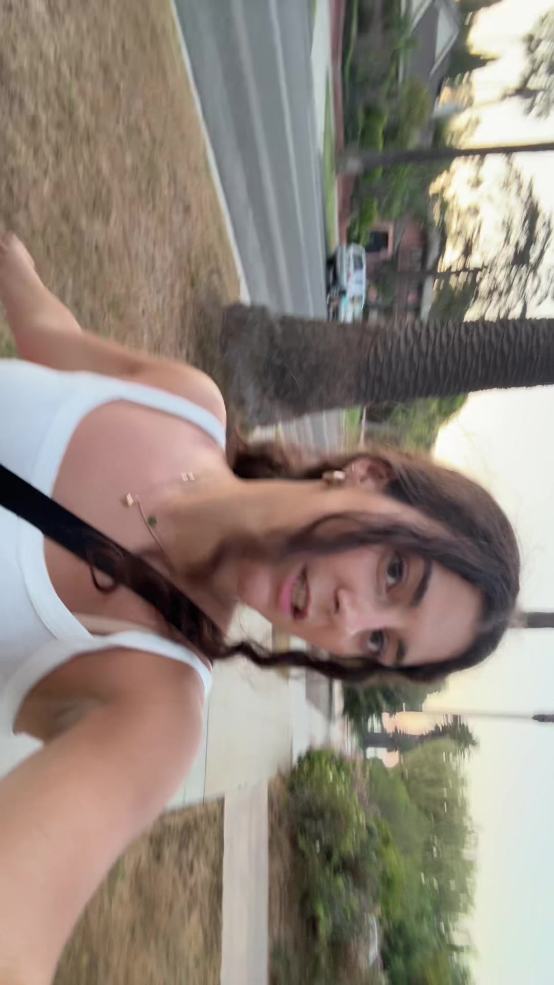 @amegspam