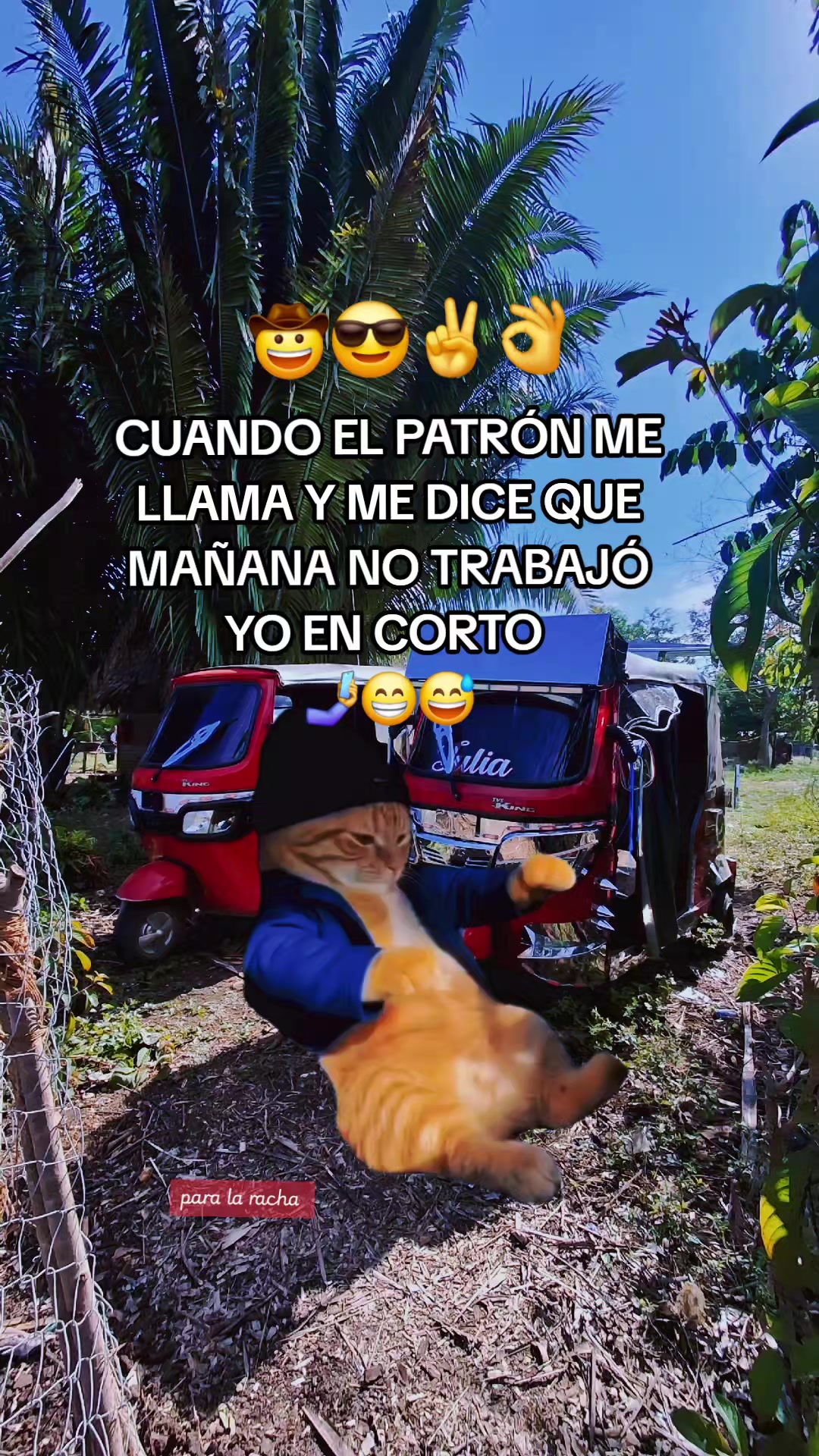 @TEC MANUEL 🥷🫰