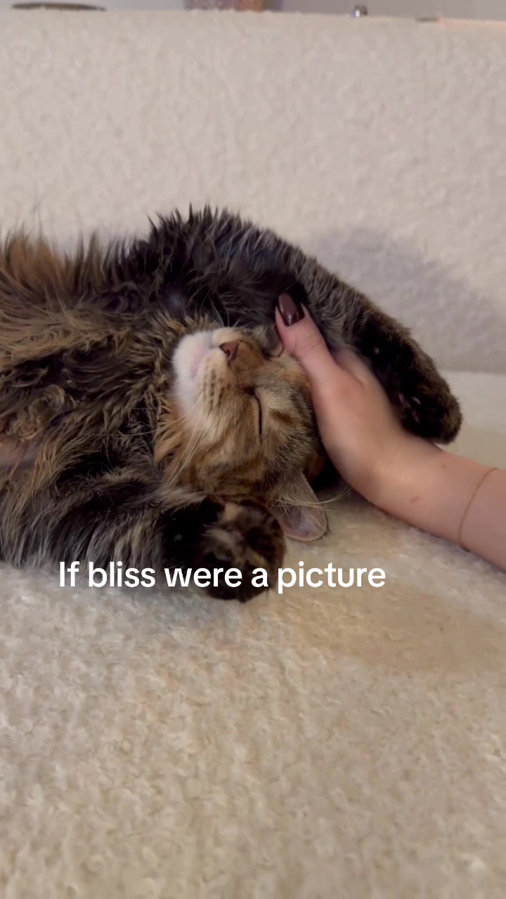@2goldensandacat
