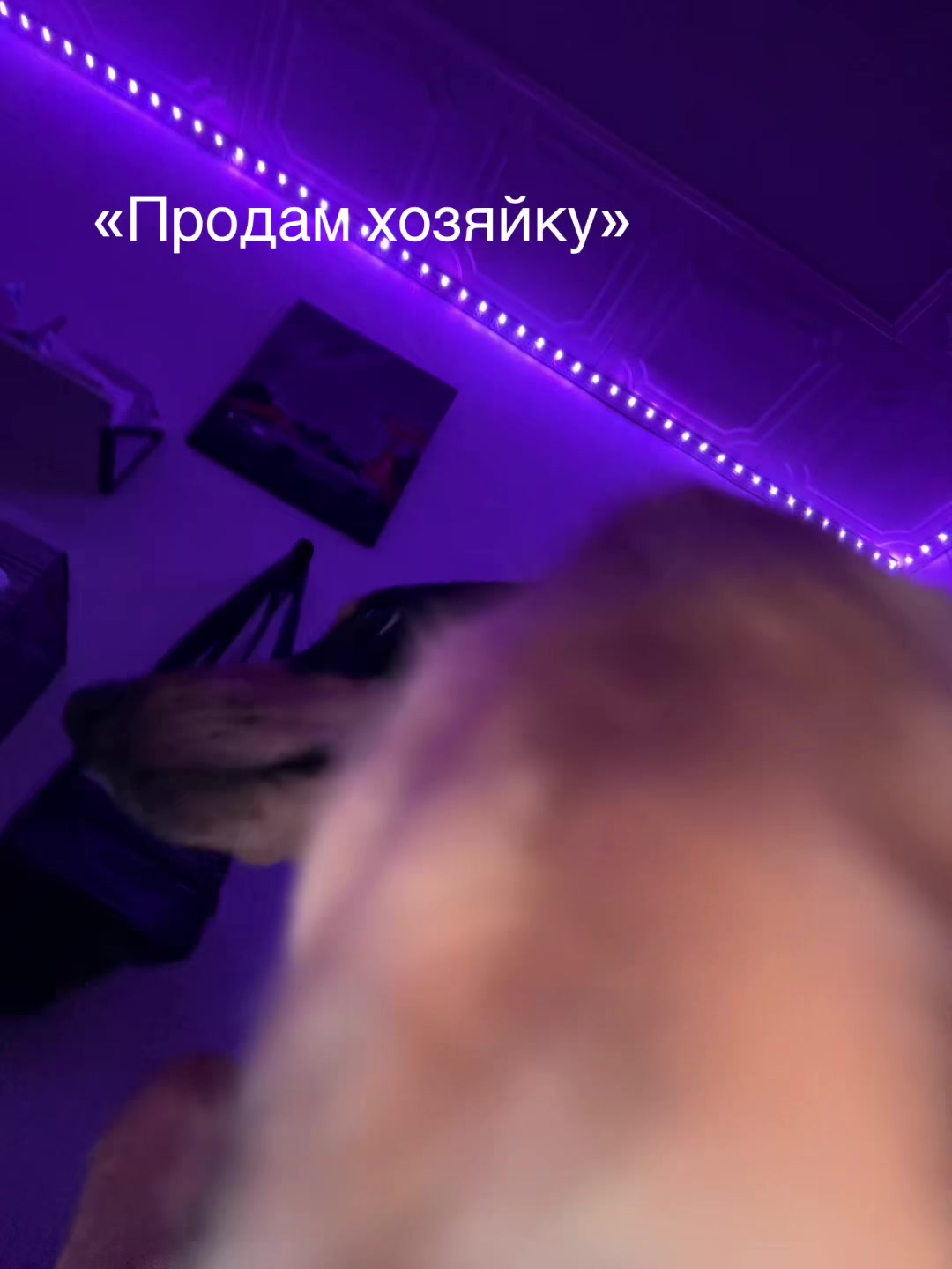 @𝖕𝖆𝖗𝖎𝖘𝖍 𝖛𝖎𝖘𝖎𝖙𝖘