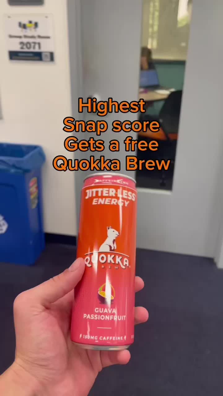 @Quokka Brew