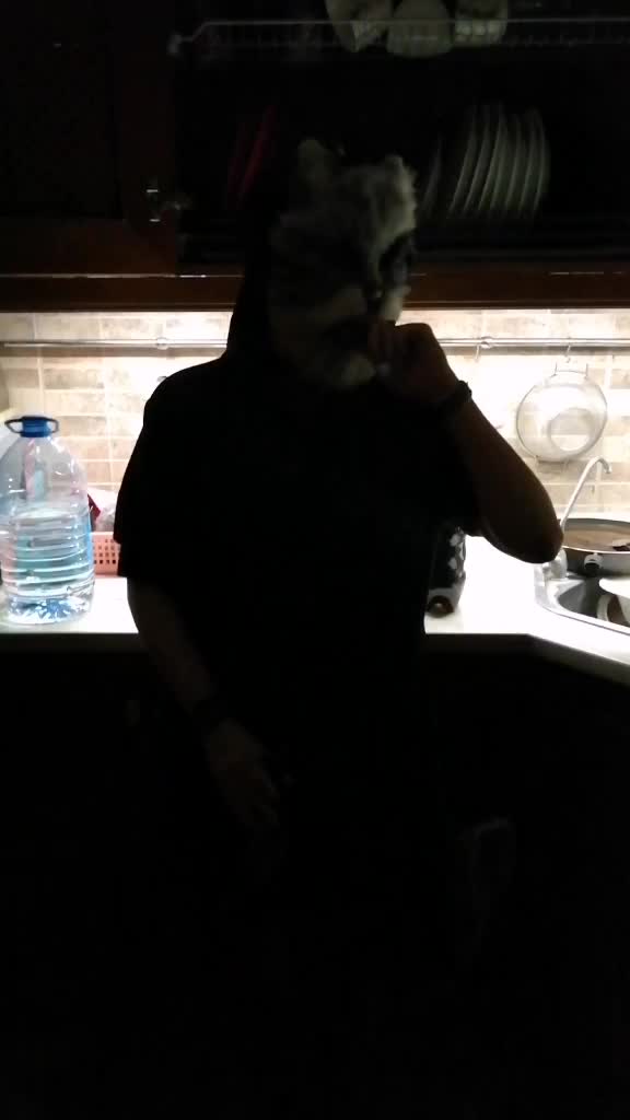@Кот Чеширский