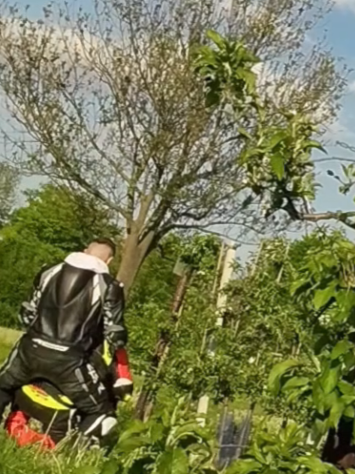@BikeGiant