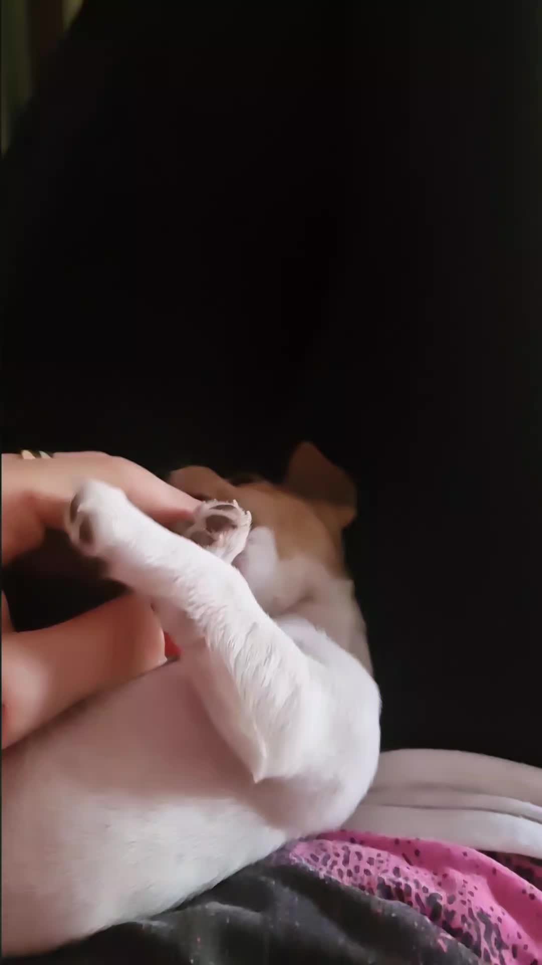 @Tina Napoli