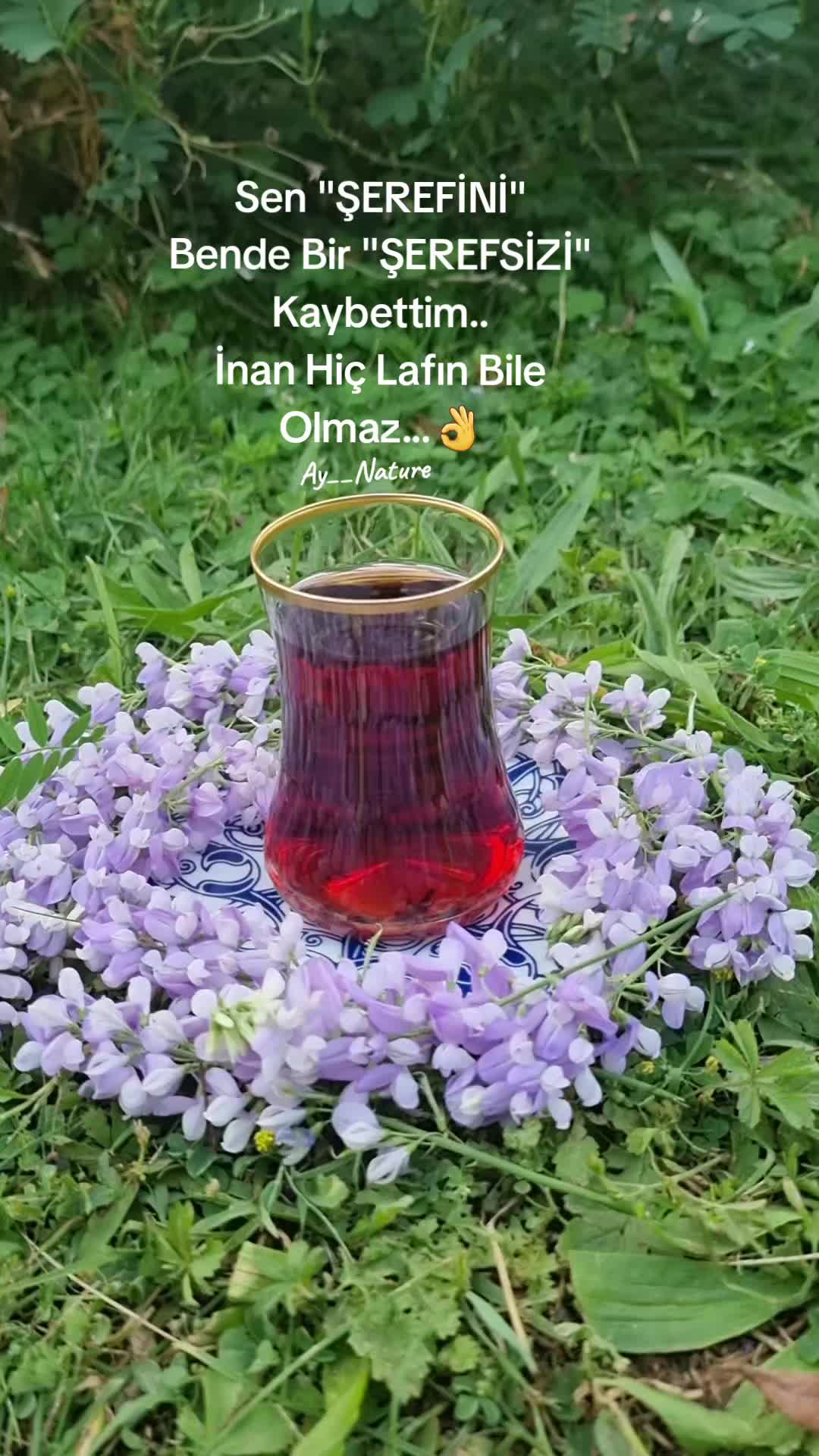 @Ay__nature