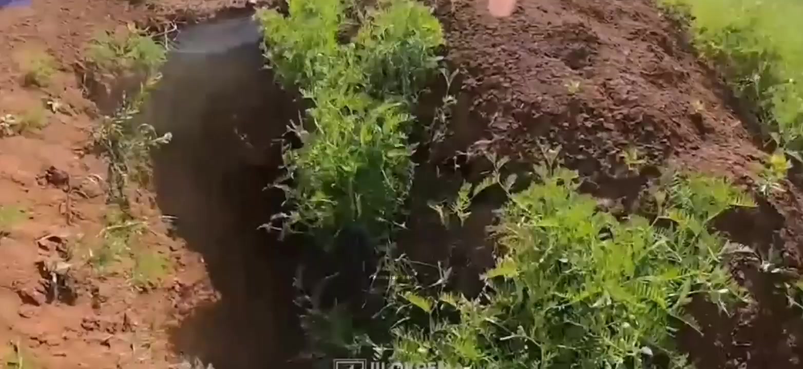 @𝙁𝙄𝙉𝙉𝙄𝙎𝙃𝙎𝙊𝙇𝘿𝙄𝙀𝙍