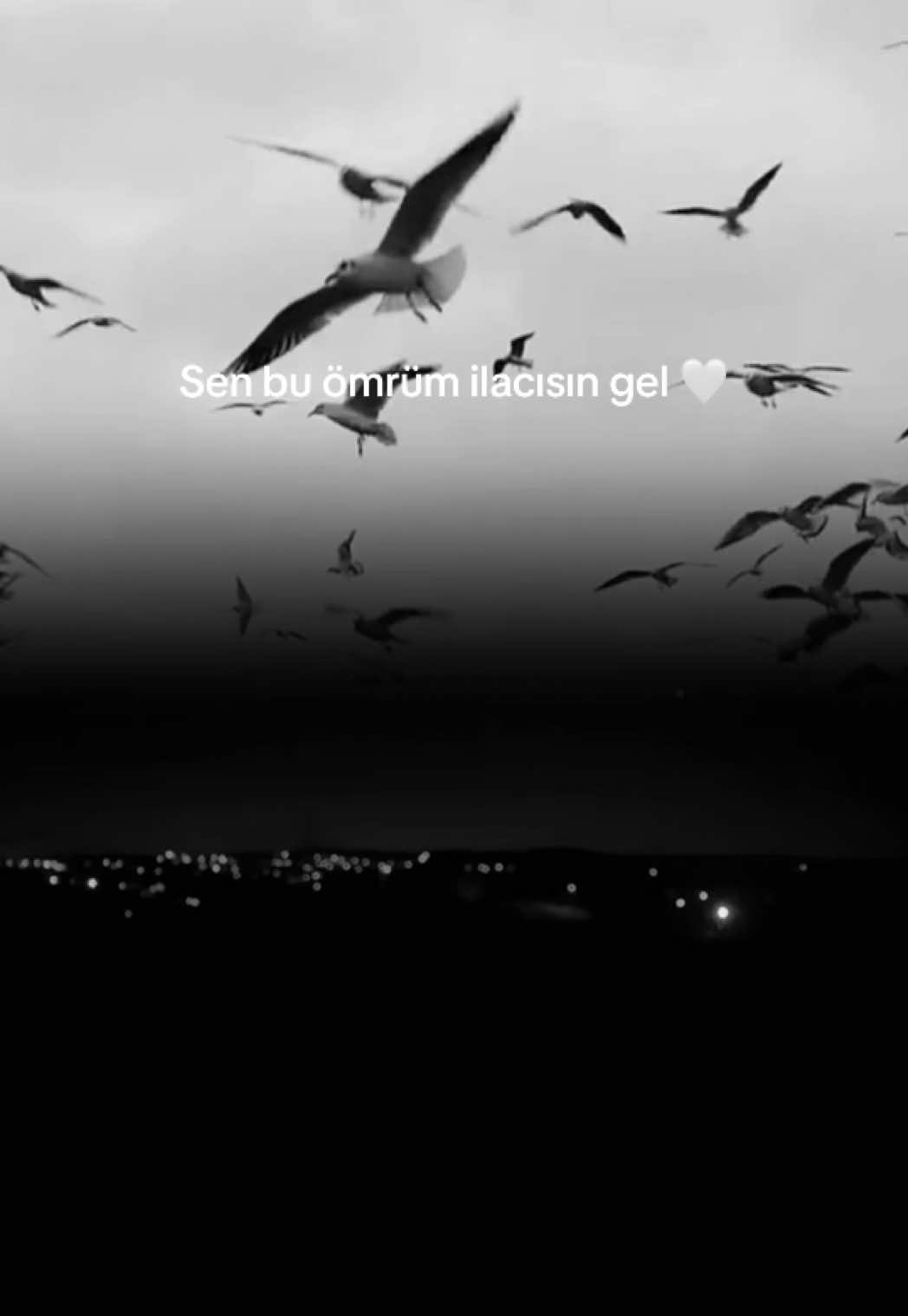 @vesselam02