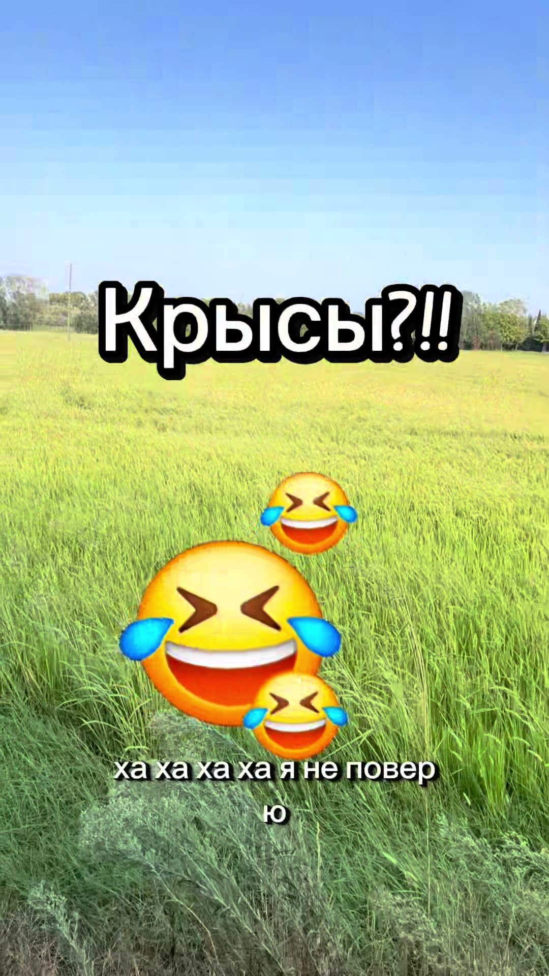@ГИД Париж Диснейленд