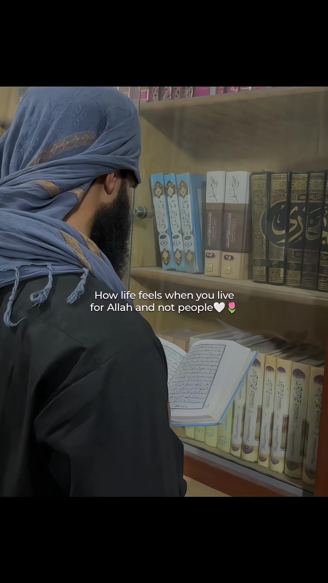@Halal Mohsin