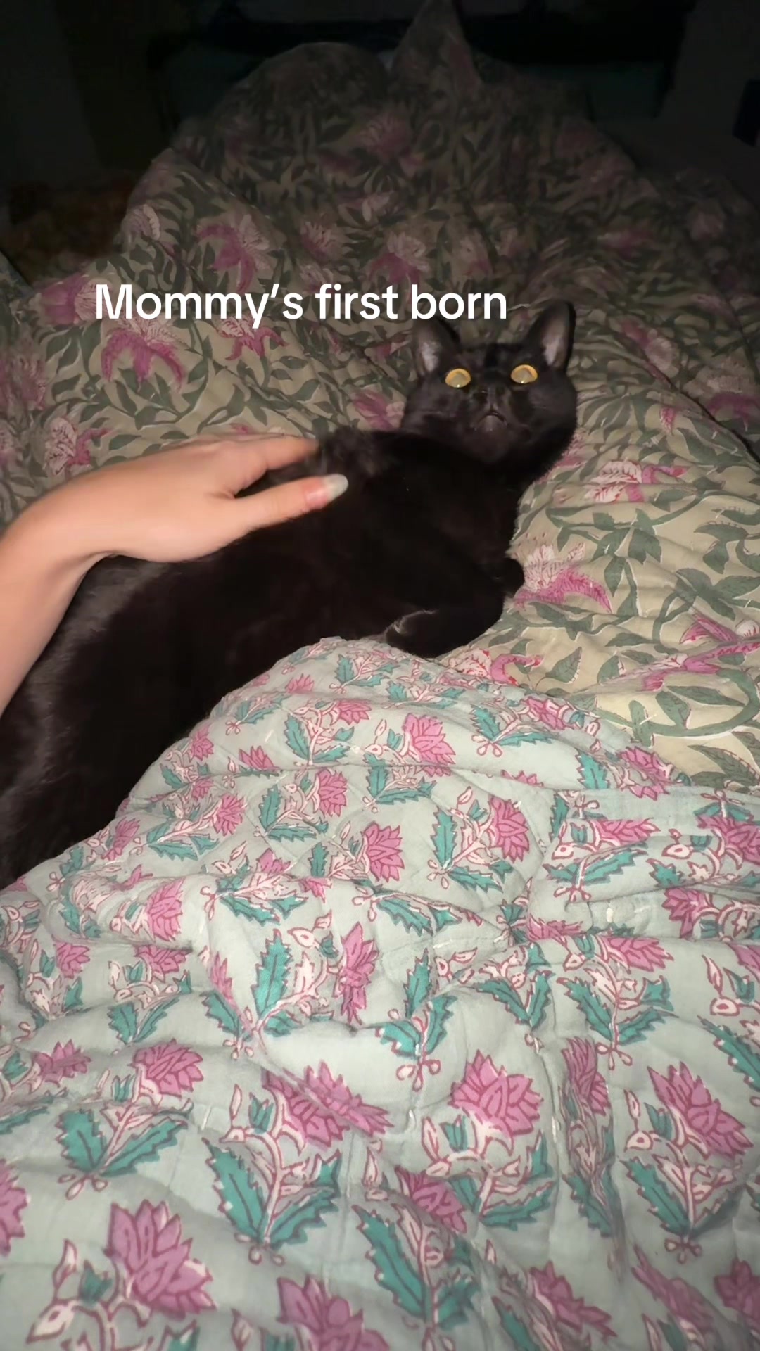 @Lil 🧸📀🎀