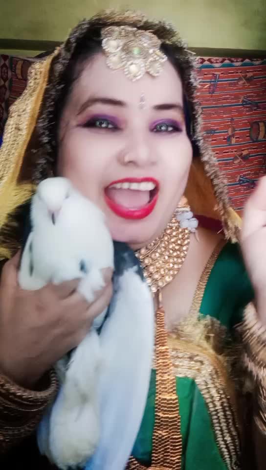 @Geeta Yadav