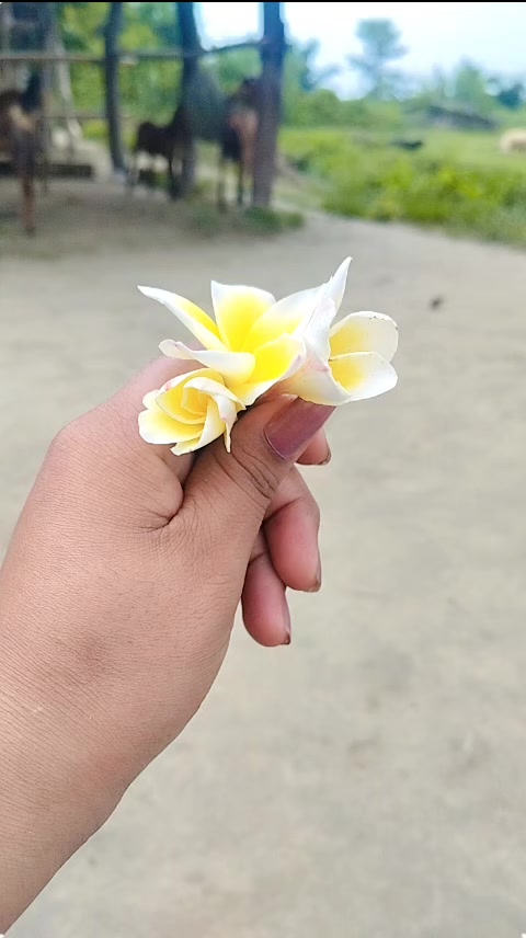 @Kiran rizal