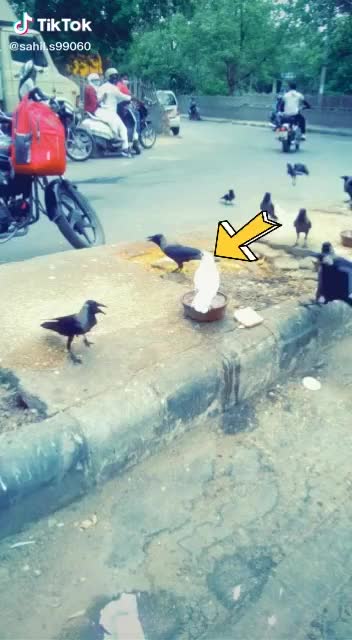 @Sanjay Jadhav